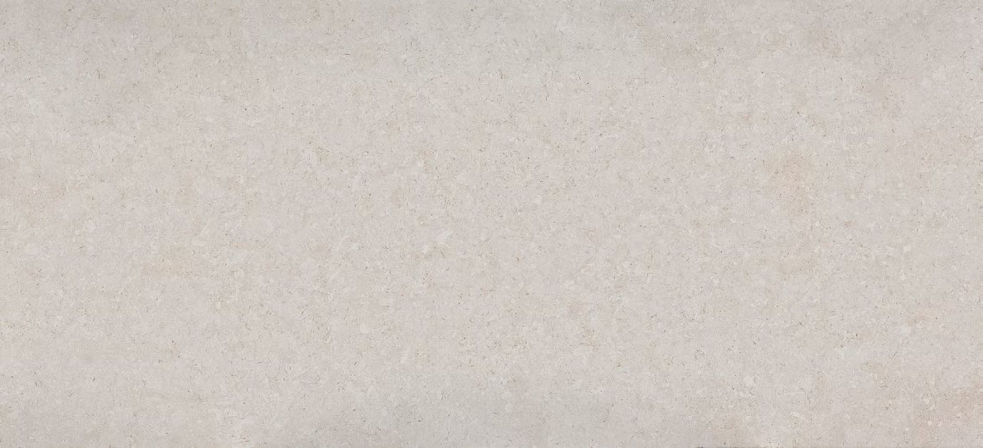 Nebbia Matte close-up